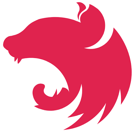 Nest Js
